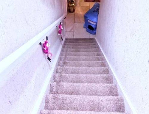 Northern Ireland Fire Mitigation Case Study